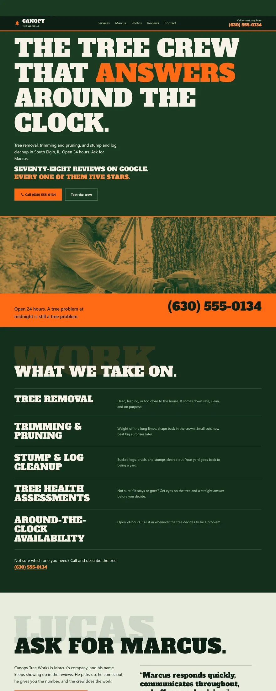 A spec website built for a tree service business